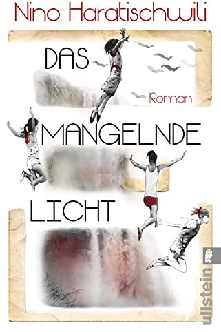 Das mangelnde Licht: Roman | Der jüngste Roman der großen georgisch-deutschen Erzählerin – wochenlang auf der Bestsellerliste und von Kritikern hoch gelobt