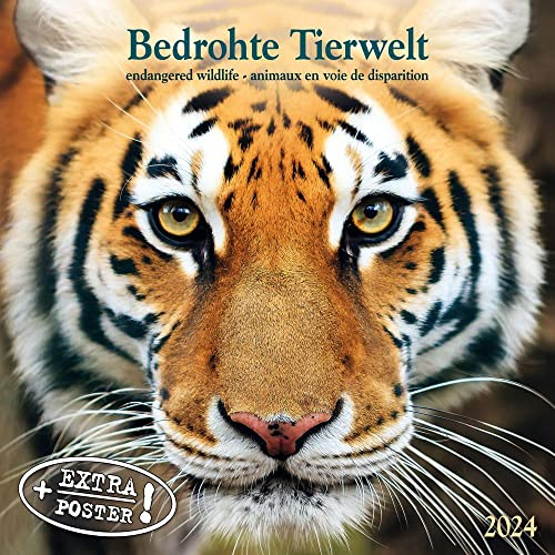 Bedrohte Tierwelt 2024: Kalender 2024
