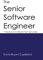 The Senior Software Engineer: 11 Practices of an Effective Technical Leader