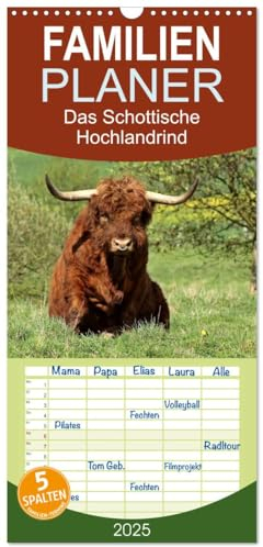 Familienplaner 2025 - Das Schottische Hochlandrind mit 5 Spalten (Wandkalender, 21 cm x 45 cm), CALVENDO