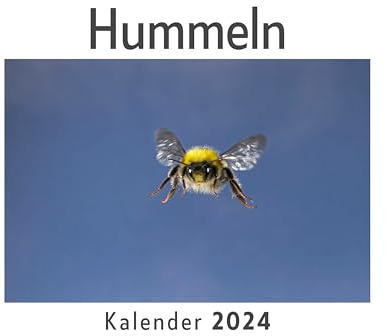 Hummeln (Wandkalender 2024, Kalender DIN A4 quer, Monatskalender im Querformat mit Kalendarium, Das perfekte Geschenk)
