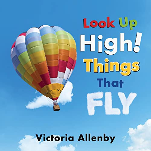 Look Up High! Things That Fly: 6 (Big, Little Concepts, 6)