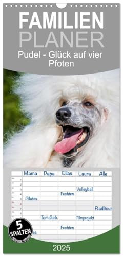 Familienplaner 2025 - Pudel - Glück auf vier Pfoten mit 5 Spalten (Wandkalender, 21 cm x 45 cm), CALVENDO: Auf 13 traumhaft schönen Fotos zeigt die ... diese alte schöne Hunderasse (CALVENDO Tiere)