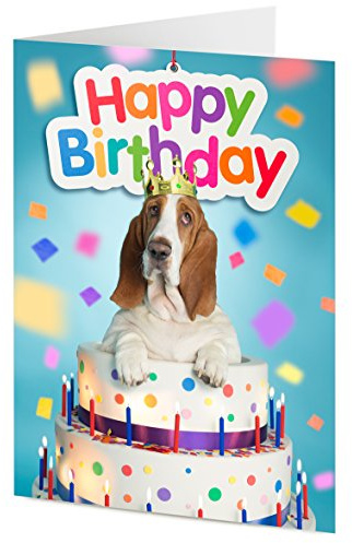 Basset hound emerges from giant birthday cake – Birthday card