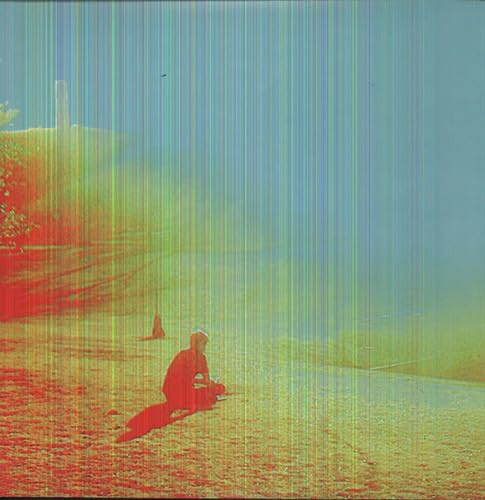 The Flaming Lips - The Terror (Vinyl/LP)
