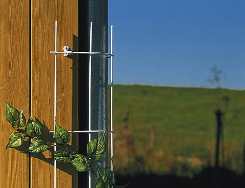 Siena Garden Fallrohrspalier, grün, 150cm lang, bis zu Ø150mm Rohre, 678223