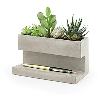 Kikkerland PL02-L Pflanzentopf aus Beton für am Schreibtisch, Go Green im Büro, hält Stifte und Visitenkarten, größe 16,3x9,1x8 cm.
