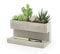 Kikkerland PL02-L Pflanzentopf aus Beton für am Schreibtisch, Go Green im Büro, hält Stifte und Visitenkarten, größe 16,3x9,1x8 cm.