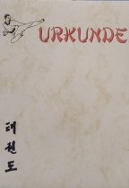 S.B.J - Sportland Urkunde Taekwondo