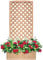 Briconess.com Fioriera in Legno con Pannello 180x90 cm grigliato a Rombi e Vaso portafiori da Giardino Azalea