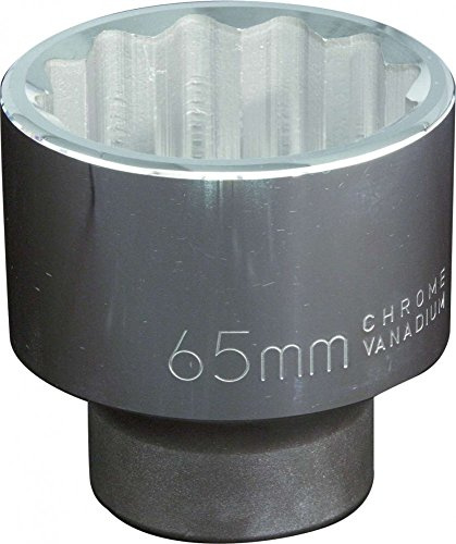 Projahn 1 Zoll Stecknuss 12-kant 60 mm 500600