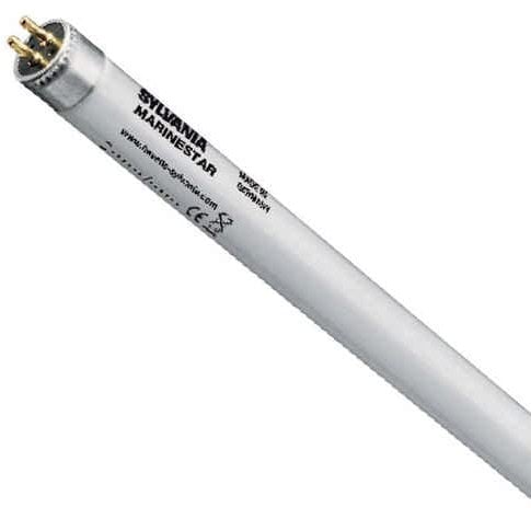 SYLVANIA T5 Aquarienlampe 54 Watt Korallen 15000 Kelvin Tageslichtweiß für Aquarien mit Korallen und Evertebraten, 1 Stück