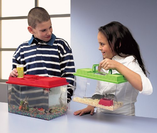 Nobby Vivarium 41 x 23 x 29 cm; 20,0 ltr. - Kunststoff - Aquarium - Fische - Innenbereich