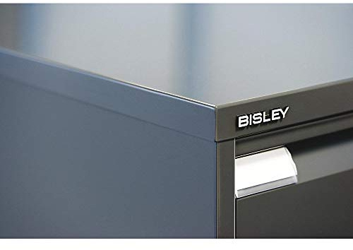 BISLEY Etikettenfenster inklusiv Etikett für Hängeregistraturschrank, Metall, 800 Kunststoff, 4 x 0,5 x 0,2 cm