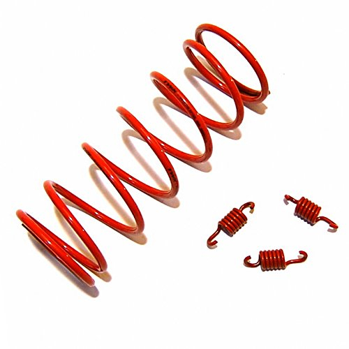 RACING KUPPLUNG`s FEDERN KIT 125-150cc 2000 RPM für BAOTIAN SARO AGM BENZHOU YIYING YY125T FLEX TECH HUATIAN HYOSUNG JINLUN JMSTAR KREIDLER YIBEN ZNEN REX RS SACHS SUKIDA FOSTI CHINA ROLLER GY6