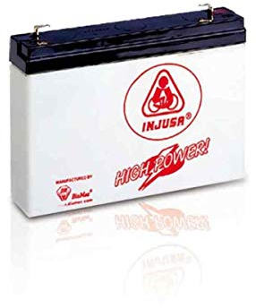 INJUSA Wiederaufladbare Batterie 6 V Sin talla bunt