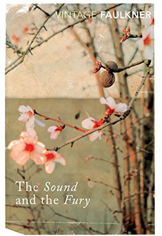 Sound and the fury, the (vintage classics)