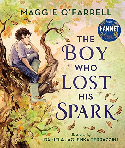 The Boy Who Lost His Spark: A new classic for children aged 5, 6, 7, 8 from the award-winning author of HAMNET, about moving house, big feelings and discovering your spark