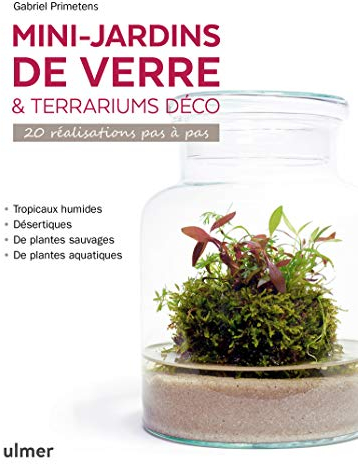 Mini-jardins de verre & terrariums déco - 20 réalisations pas à pas