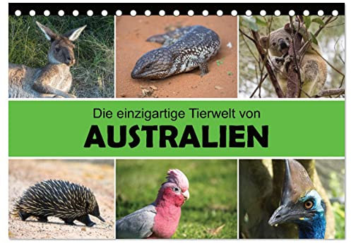 Die einzigartige Tierwelt von Australien (Tischkalender 2025 DIN A5 quer), CALVENDO Monatskalender: Australiens faszinierende Wildtiere im Porträt (CALVENDO Natur)