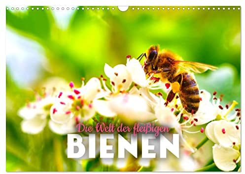 Die Welt der fleißigen Bienen (Wandkalender 2026 DIN A3 quer), CALVENDO Monatskalender: Die summenden Bestäuber. (CALVENDO Tiere)