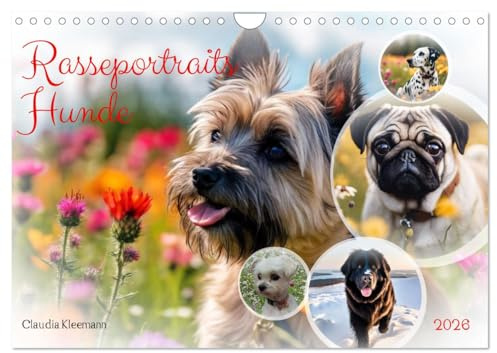 Rasseportraits - Hunde (Wandkalender 2026 DIN A4 quer), CALVENDO Monatskalender: Kaum ein Tier hat soviele verschiedene Gesichter wie ein Hund. (CALVENDO Tiere)