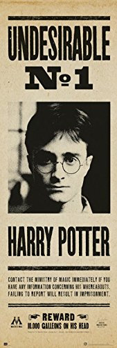 Harry Potter Tür-Poster Unerwünschter Nr 1, Daniel Radcliffe Plakat | Bild 158x53 cm