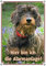 Petsigns Warnschild - Dackel/Teckel Rauhaar - Hier Bin ICH DIE ALARMANLAGE!, DIN A4