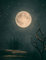 Blank Spell Book Journal Full Moon: Large Notebook for Spells and Rituals