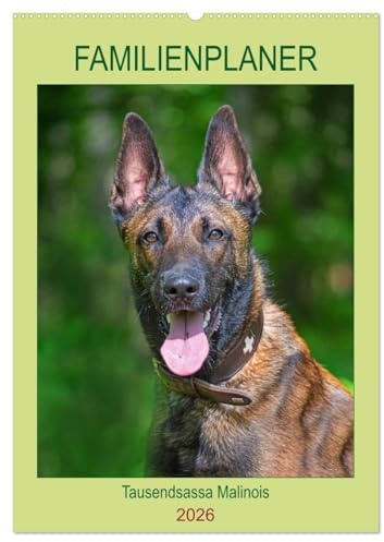 Familienplaner Tausendsassa Malinois (Wandkalender 2026 DIN A2 hoch), CALVENDO Monatskalender: Der Malinois, ein Allrounder, als Dienst- und Sporthund ... Fotos vorgestellt (CALVENDO Tiere)