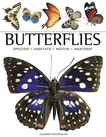Butterflies: Beautiful Flying Insects (Mini Encyclopedias)