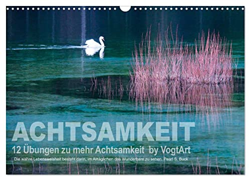 Achtsamkeit, 12 Übungen zu mehr Achtsamkeit. (Wandkalender 2026 DIN A3 quer), CALVENDO Monatskalender: 12 monatliche Übungen für mehr Achtsamkeit und mehr Entspannung. (CALVENDO Gesundheit)