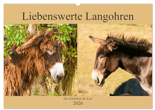 Liebenswerte Langohren - Die Schönheit der Esel (Wandkalender 2026 DIN A2 quer), CALVENDO Monatskalender: Wunderbare Aufnahmen hinreißender Esel (CALVENDO Tiere)