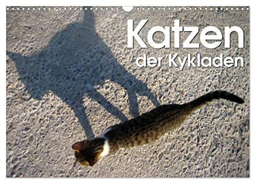 Katzen der Kykladen (Wandkalender 2026 DIN A3 quer), CALVENDO Monatskalender: Ein Katzenkalender mit Porträts der Kykladen Katzen (CALVENDO Tiere)