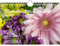 Blumenstraußzauber DIN A5 Wandkalender für 2025 Blumenstrauß und Blüten - Seelenzauber