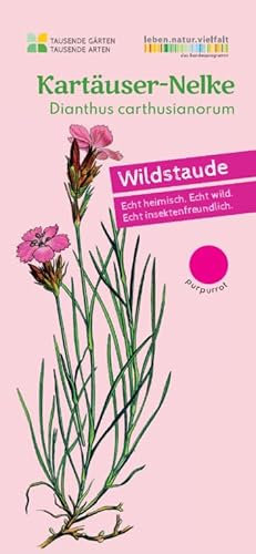 Kartäuser-Nelke | Dianthus carthusianorum in BIO-Qualität (torffrei), ideal für trockene & sonnige Standorte, Kübel geeignet, im 0,69L Topf, heimische Wildpflanze, liebevolle Handarbeit (10er Set)