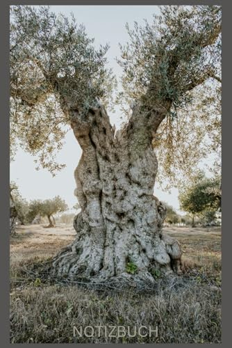 Notizbuch Olivenbaum, Buch: Das perfekte Geschenk für Oliven Liebhaber & Natur Fans, schönes Olivenmotiv: Tagebuch, Journal, Taschenbuch, Kalender, ... Softcover, Bild, Baum, Olivenbaum, A5,Echt