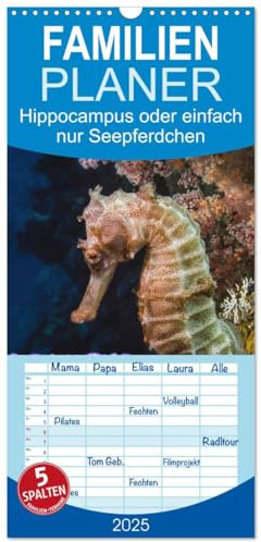 Familienplaner 2025 - Hippocampus oder einfach nur Seepferdchen mit 5 Spalten (Wandkalender, 21 cm x 45 cm), CALVENDO