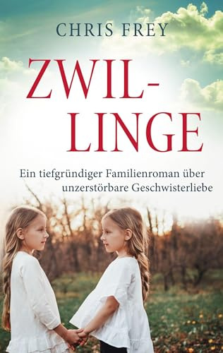 Zwillinge: Ein tiefgründiger Familienroman über unzerstörbare Geschwisterliebe