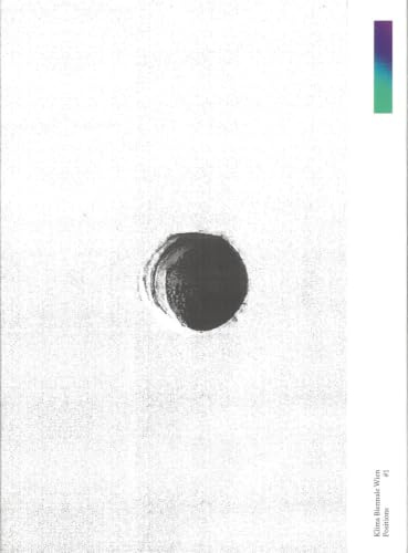 Adrian Villár Rojas: The End of Imagination