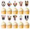 Blumomon 30 Stück Hunde Cupcake Topper, süße Hunde Welpengesichter, Kuchen Deckel, Party Dekorationen für Hunde Welpen Motto Party, Kindergeburtstag, Babyparty, Partyzubehör