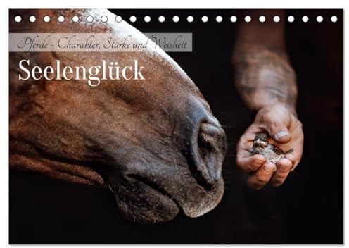 Seelenglück Kalender - Pferde - Charakter, Stärke, Weisheit (Tischkalender 2026 DIN A5 quer), CALVENDO Monatskalender: 12 Seelenglück Pferde begleiten ... durch dein kommendes Jahr! (CALVENDO Tiere)