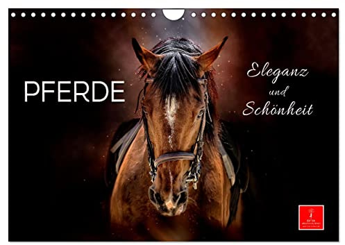 Eleganz und Schönheit - Pferde (Wandkalender 2026 DIN A4 quer), CALVENDO Monatskalender: Die Schönheit und Eleganz der Pferde in zwölf wunderschönen Bildern. (CALVENDO Tiere)