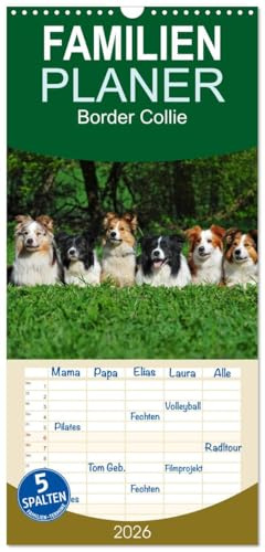 Familienplaner 2026 - Border Collie 2026 mit 5 Spalten (Wandkalender, 21 cm x 45 cm), CALVENDO: Auf 13 wunderschönen Fotos zeigt die Tierfotografin ... Collies in vielen Farben (CALVENDO Tiere)
