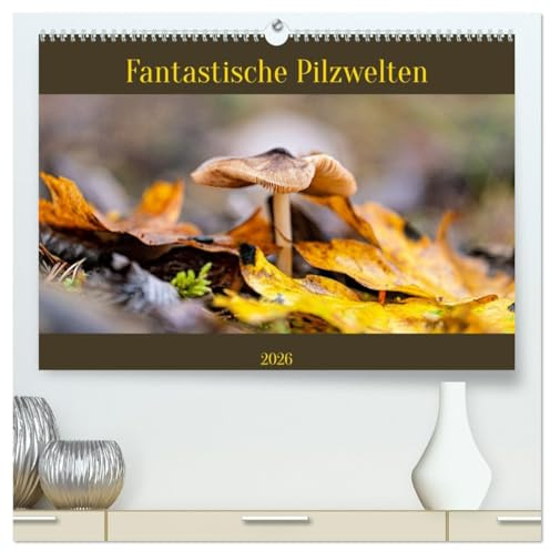 Fantastische Pilzwelten (hochwertiger Premium Wandkalender 2026 DIN A2 quer), Kunstdruck in Hochglanz: Pilze sind unglaublich vielfältig. (CALVENDO Natur)