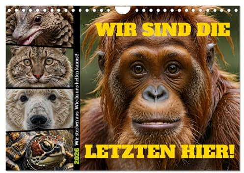 Wir sind die Letzten hier! Wir sterben aus. Wie du uns helfen kannst! (Wandkalender 2026 DIN A4 quer), CALVENDO Monatskalender: Vom Aussterben ... Spezies beitragen kann. (CALVENDO Tiere)