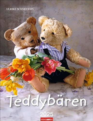 Teddybären Kalender 2025: Foto-Wandplaner mit niedlichen Teddys. Jeden Monat ein liebevoll arrangiertes Bären-Foto im Format 30 x 39 cm. Mit Platz zum Eintragen.