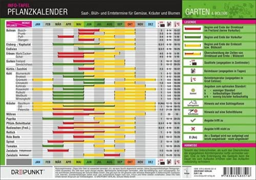 Pflanzkalender: Saat-, Blüh- und Erntetermine für Gemüse, Kräuter und Blumen