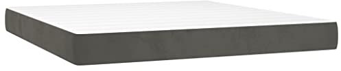 vidaXL Taschenfederkernmatratze, Federkernmatratze Komfortabler Schaumstoff, Matratze Mittelharte Unterstützung, Dunkelgrau 160x220x20cm Samt