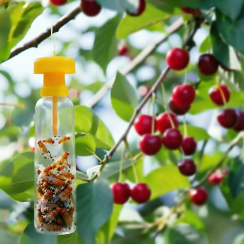 Pack de 6 Piège Mouche Cerisier Couvercles avec Appât Inclus – Protection Anti-Nuisibles Jardin – Alternative Boule Anti Mouche – Compatible Bouteilles Standard